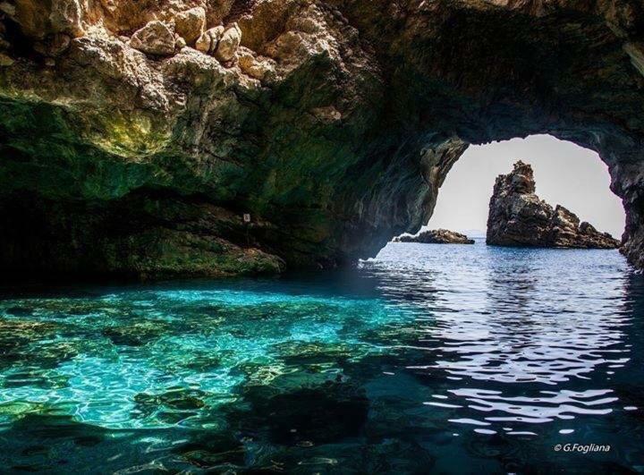 Camera Matrimoniale La Lampuga Otel Marettimo Dış mekan fotoğraf
